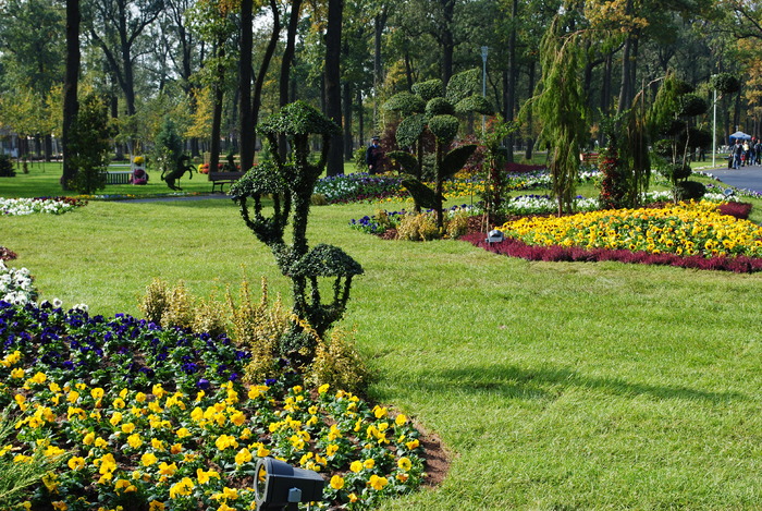  - Parcul Tineretului Craiova