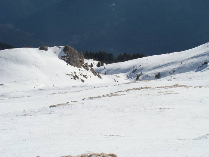 DSC01137 - Bucegi - Valea Izvorul Dorului-Padina