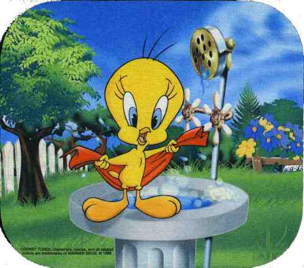 tweety20bird20bath - Tweety