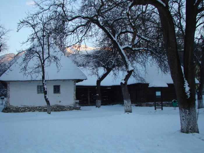 DSC05665 - poze Ianuarie 2009