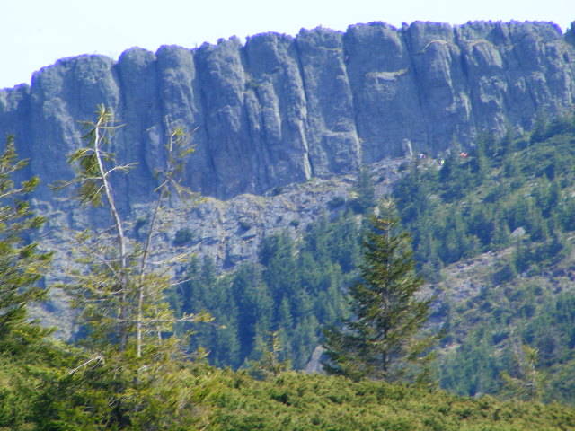DSCF0291