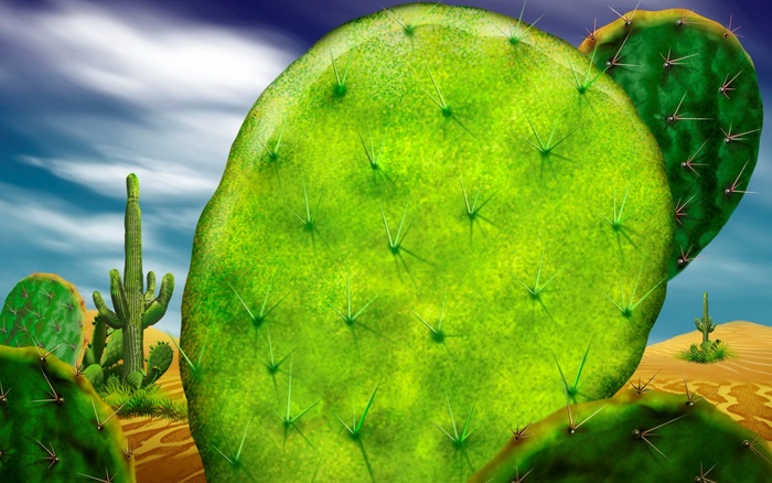 8524 - WALLPAPERS DESKTOP