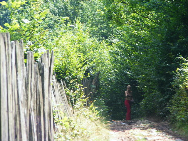 DSCF4904 - Firiza_Maramures