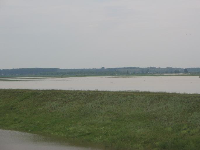 inundatii (3) - inundatii 2005 Galati