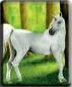 DQHXNWQTNJNGQDIYXNA - animale