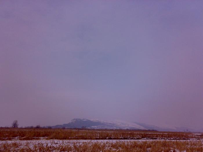 18022009392 - pe malul Tarnavei si a Muresului iarna