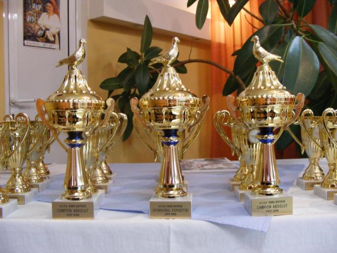Premiile cele mari; au fost doi Campioni Absoluti si un sponsor generos
