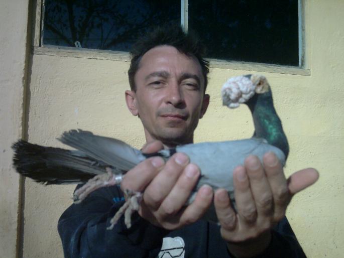 09 - porumbei carieri - 2005