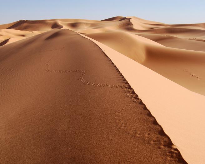 [From www.metacafe.com] 1034961.5863561.1