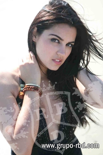 IMA0000370000011572 - Maite Perroni