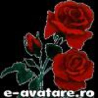 trandafir - avatare frumoase
