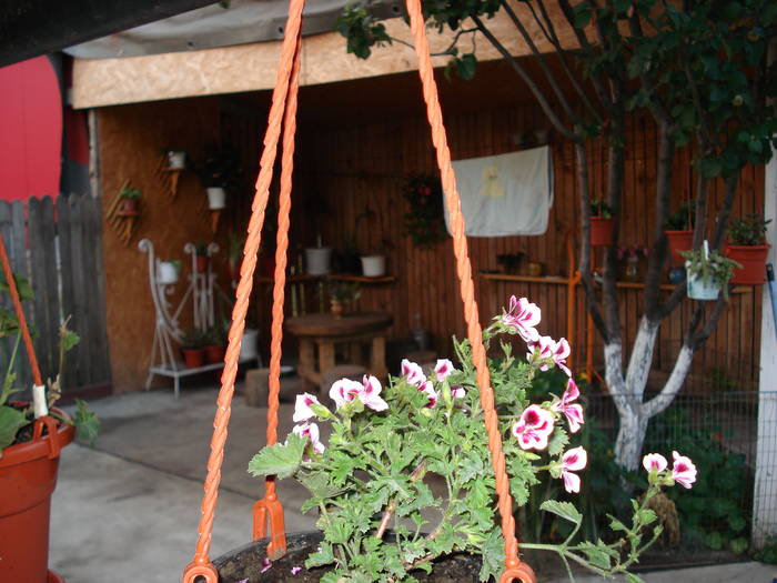 DSC09560