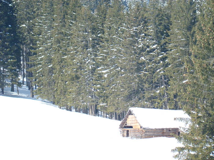 DSC02865