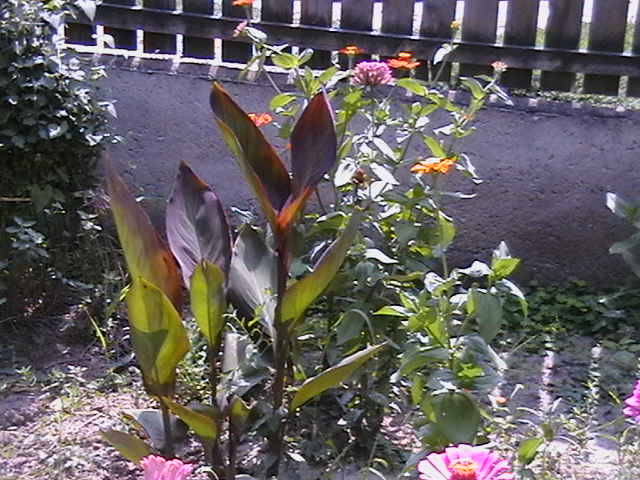 Picture 024