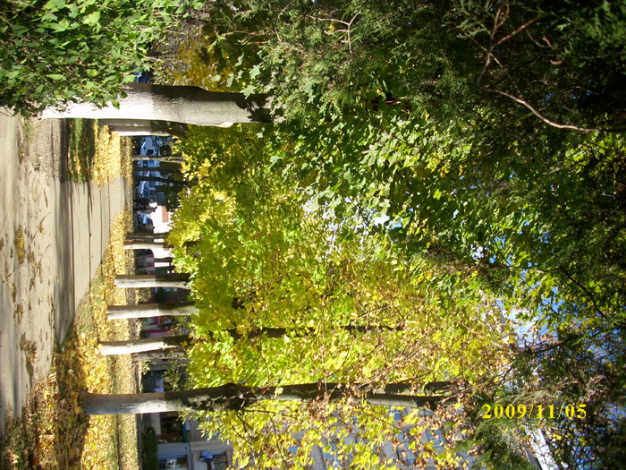 DSCI2282