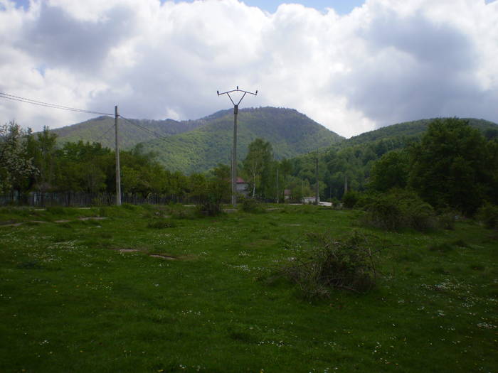 Poze 042