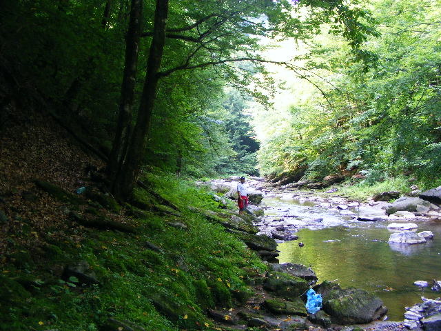 DSCF5117