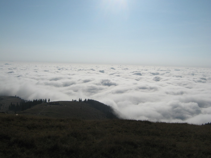 VARFUL URSU 25.10.2009 244