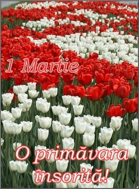 O_primavara_insorita - 00 Album Pt My Friend Lumier