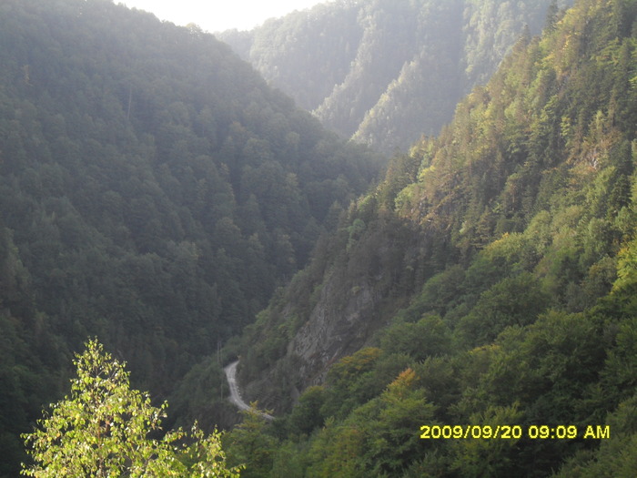 SDC10449 - transfagarasan