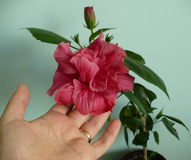 P1150246