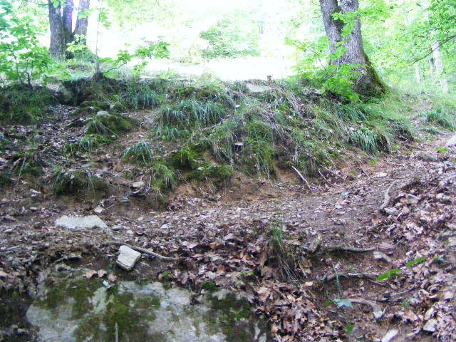 DSCF2552 - Berchezoaia Biserica Vacilor 28 iunie 2009