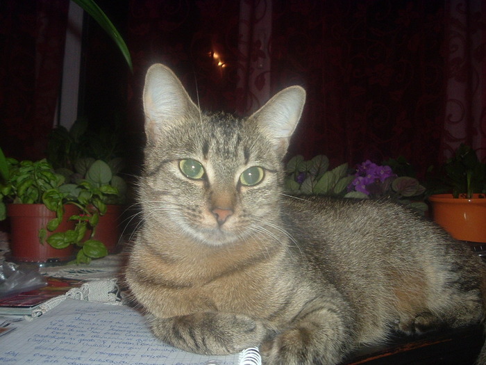 DSCF8594; Jackie citeste
