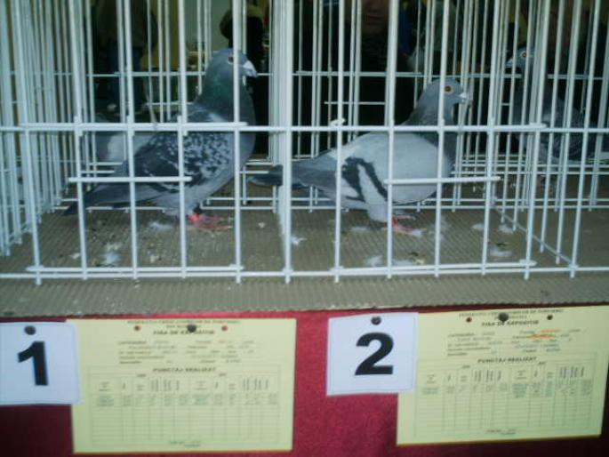 IMAG014