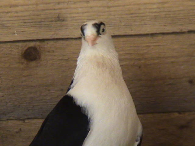 DSC01670