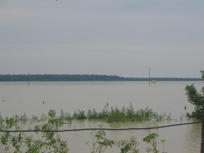 inundatii (75)