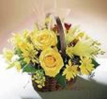 imagesCAIZ6NYP