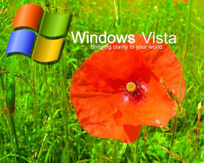 windows_vista_3 - POZE DESKTOP