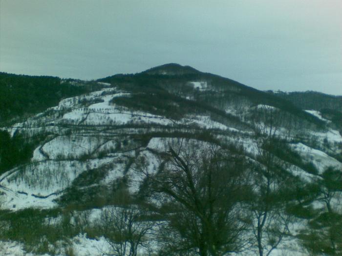 30122008(001) - vanatoare padure