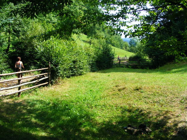 DSCF4897 - Firiza_Maramures