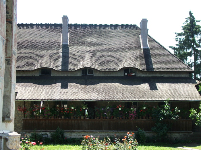 DSCF1903 - peisaje_Bucovina