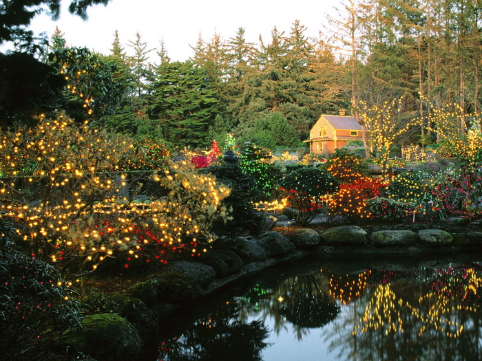 Christmas Wallpapers (378)