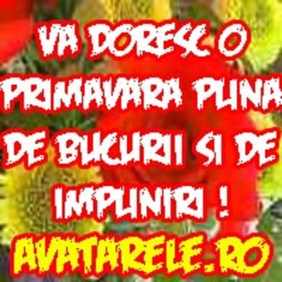 55 - poze avatar primavara
