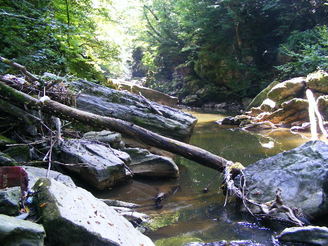 DSCF5265