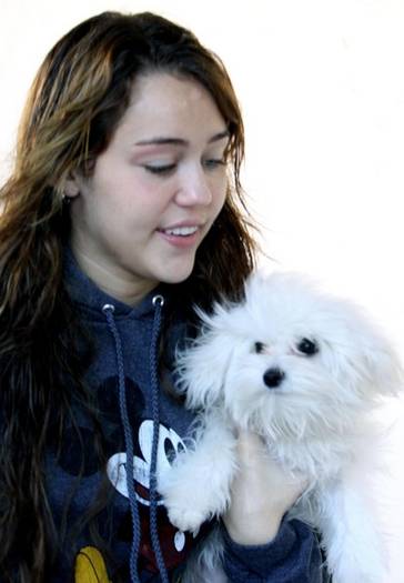 Miley+Cyrus+Heading+Recording+Studio+thlbo6D-7aPl - miley cyrus