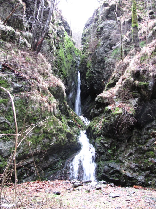 IMG_1123 - CASCADA LOTRISORULUI  02-01-2010