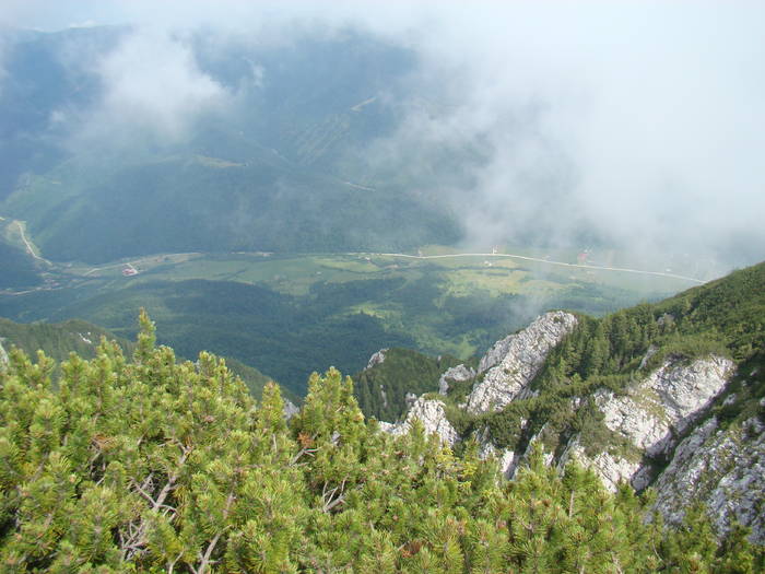 DSC03773 - Concediu 2009