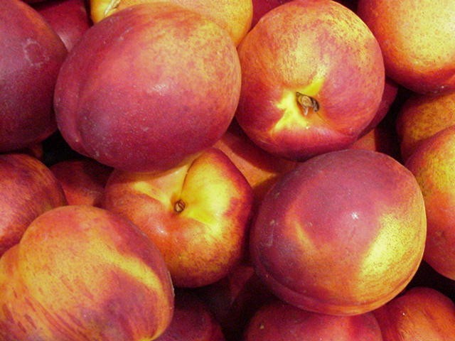 nectarine2