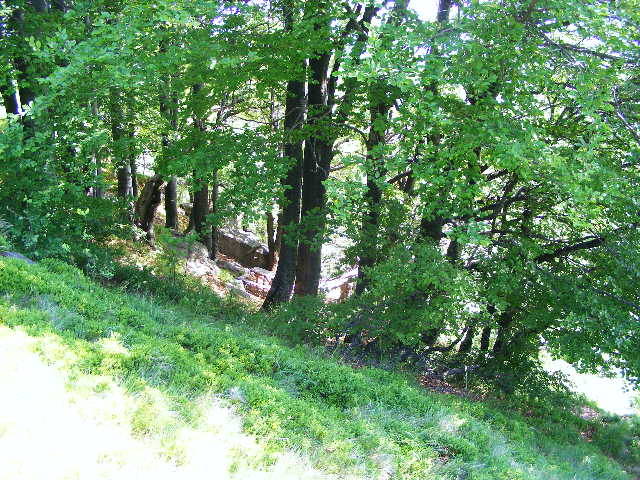 DSCF1988 - varful Ignis Maramures