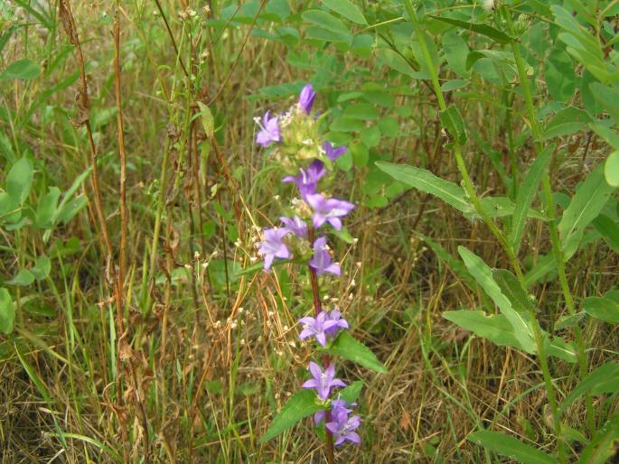 PICT880 - 2007 concediu poze 1