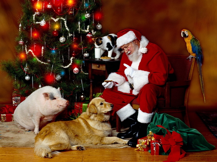 Christmas Wallpapers (111)