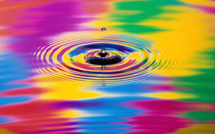 Splash_of_Color - Vibrant Colors Wallpapers