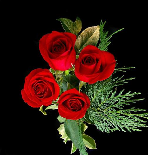 3006957559_5510868cb8 - Craciun