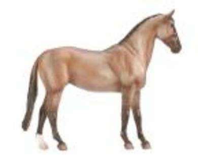 cal - Breyer horses