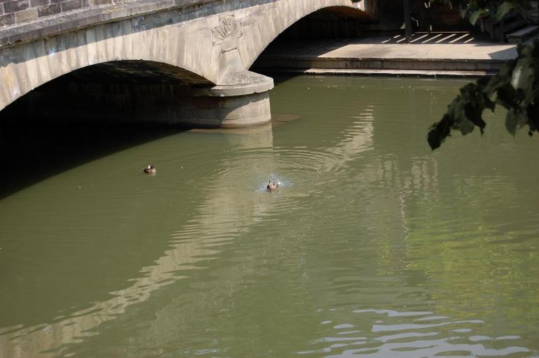 Resize of DSC_0287