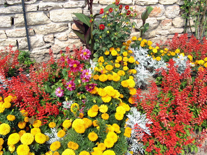 IMG_0914 - balchik 2009